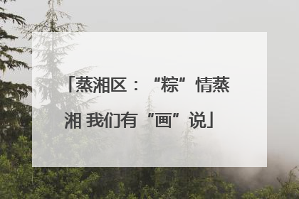 蒸湘区：“粽”情蒸湘 我们有“画”说