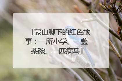 蒙山脚下的红色故事：一所小学、一盏茶碗、一匹病马