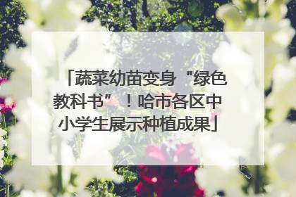 蔬菜幼苗变身“绿色教科书”！哈市各区中小学生展示种植成果