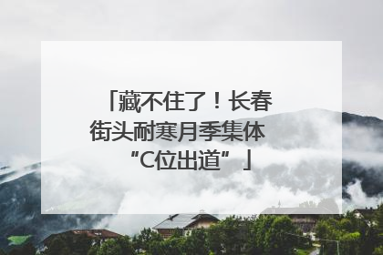 藏不住了！长春街头耐寒月季集体“C位出道”
