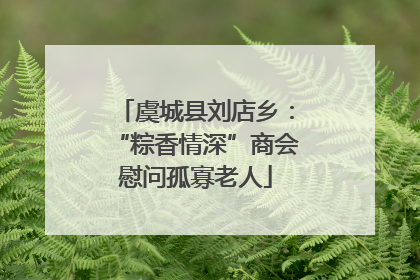 虞城县刘店乡：“粽香情深”商会慰问孤寡老人
