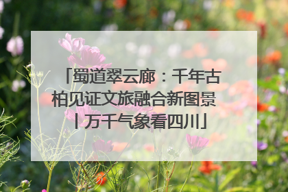 蜀道翠云廊：千年古柏见证文旅融合新图景丨万千气象看四川