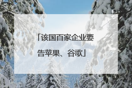 该国百家企业要告苹果、谷歌