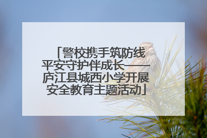 警校携手筑防线 平安守护伴成长——庐江县城西小学开展安全教育主题活动