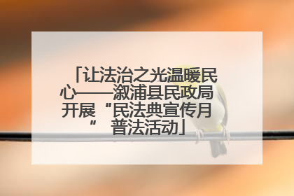 让法治之光温暖民心——溆浦县民政局开展“民法典宣传月” 普法活动