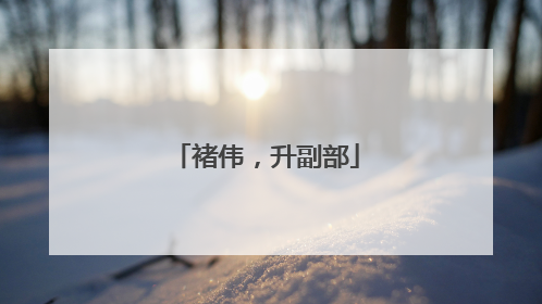 褚伟，升副部