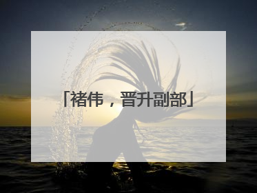褚伟，晋升副部
