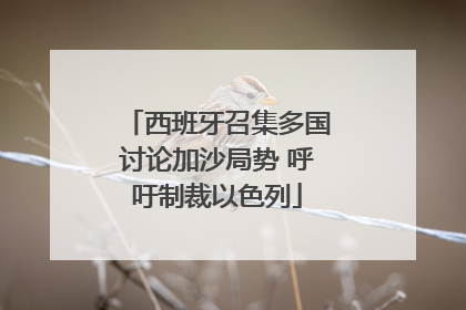西班牙召集多国讨论加沙局势 呼吁制裁以色列