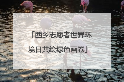 西乡志愿者世界环境日共绘绿色画卷