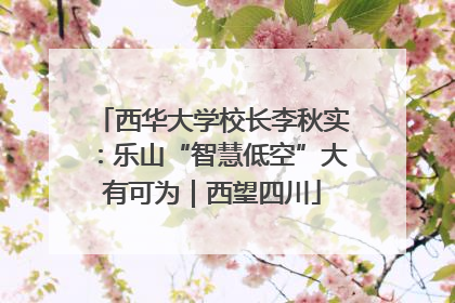 西华大学校长李秋实：乐山“智慧低空”大有可为｜西望四川
