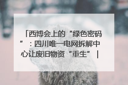 西博会上的“绿色密码”：四川唯一电网拆解中心让废旧物资“重生”｜西博寻“新”记