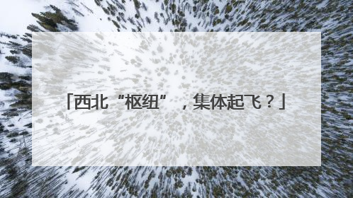 西北“枢纽”，集体起飞？