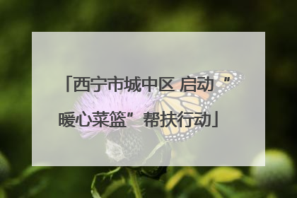 西宁市城中区 启动“暖心菜篮”帮扶行动