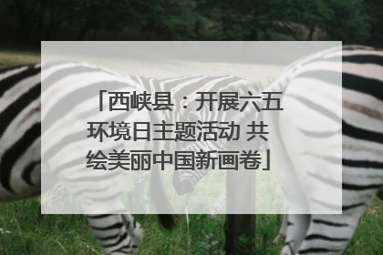 西峡县：开展六五环境日主题活动 共绘美丽中国新画卷