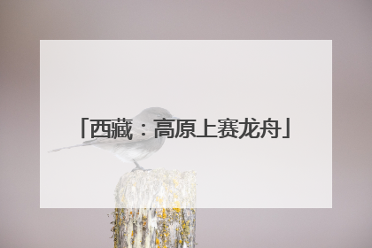 西藏：高原上赛龙舟