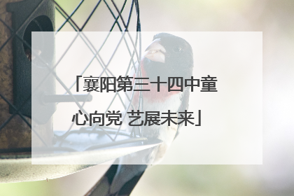 襄阳第三十四中童心向党 艺展未来