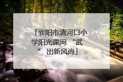 襄阳市清河口小学阳光课间 “武” 出新风尚