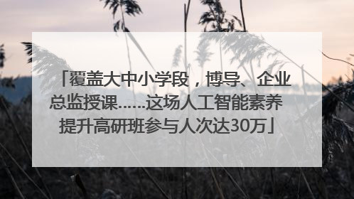 覆盖大中小学段，博导、企业总监授课……这场人工智能素养提升高研班参与人次达30万