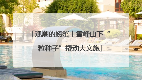 观潮的螃蟹丨雪峰山下“一粒种子”撬动大文旅