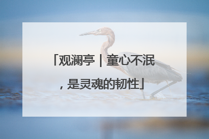 观澜亭｜童心不泯，是灵魂的韧性