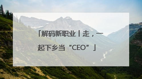 解码新职业丨走，一起下乡当“CEO”