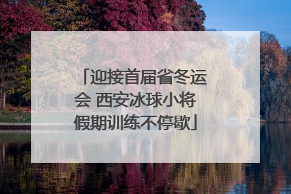 迎接首届省冬运会 西安冰球小将假期训练不停歇