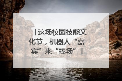 这场校园技能文化节，机器人“嘉宾”来“捧场”