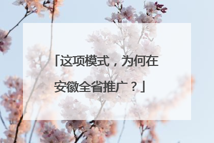 这项模式，为何在安徽全省推广？