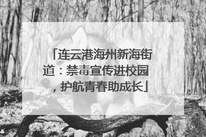 连云港海州新海街道：禁毒宣传进校园，护航青春助成长