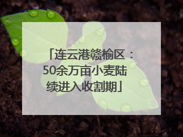 连云港赣榆区：50余万亩小麦陆续进入收割期