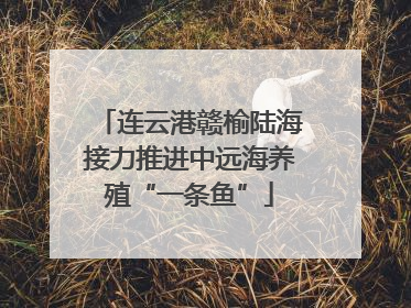 连云港赣榆陆海接力推进中远海养殖“一条鱼”