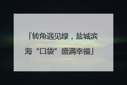 转角遇见绿，盐城滨海“口袋”盛满幸福