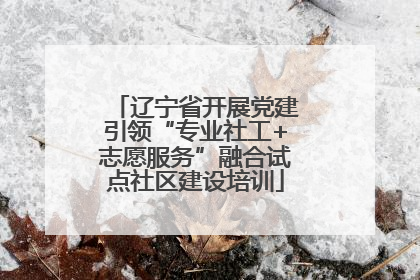 辽宁省开展党建引领“专业社工+志愿服务”融合试点社区建设培训
