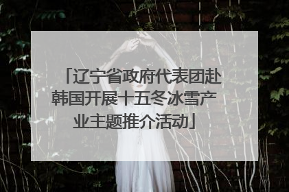 辽宁省政府代表团赴韩国开展十五冬冰雪产业主题推介活动