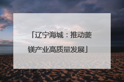 辽宁海城：推动菱镁产业高质量发展