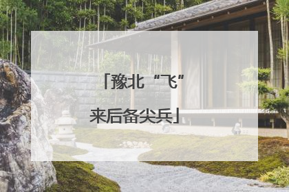豫北“飞”来后备尖兵