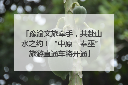 豫渝文旅牵手，共赴山水之约！“中原—奉巫”旅游直通车将开通
