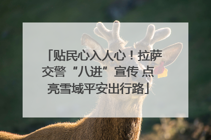贴民心入人心！拉萨交警“八进”宣传 点亮雪域平安出行路