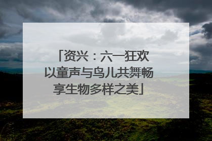 资兴：六一狂欢 以童声与鸟儿共舞畅享生物多样之美