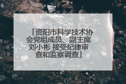 资阳市科学技术协会党组成员、副主席刘小彬 接受纪律审查和监察调查