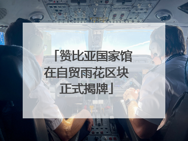 赞比亚国家馆在自贸雨花区块正式揭牌