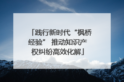 践行新时代“枫桥经验” 推动知识产权纠纷高效化解