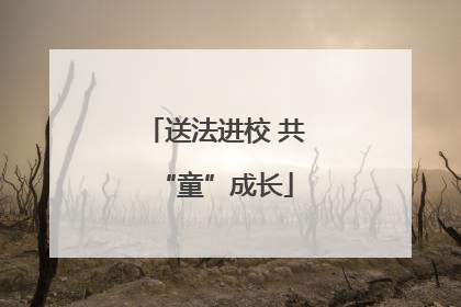 送法进校 共“童”成长