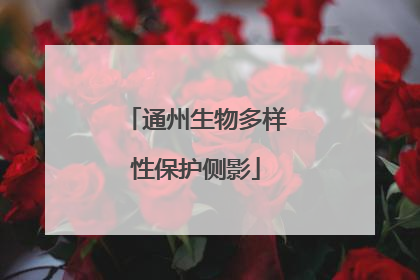 通州生物多样性保护侧影