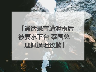 通话录音遭泄露后被要求下台 泰国总理佩通坦致歉