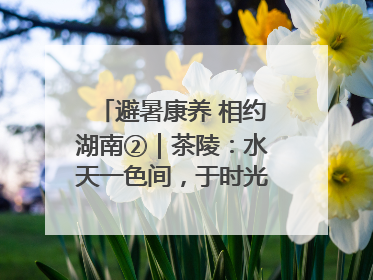 避暑康养 相约湖南②｜茶陵：水天一色间，于时光里拾取诗意