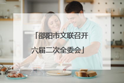 邵阳市文联召开六届二次全委会