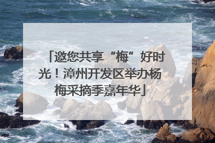 邀您共享“梅”好时光！漳州开发区举办杨梅采摘季嘉年华