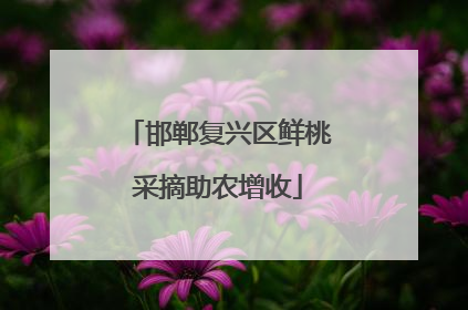 邯郸复兴区鲜桃采摘助农增收