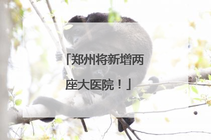 郑州将新增两座大医院！